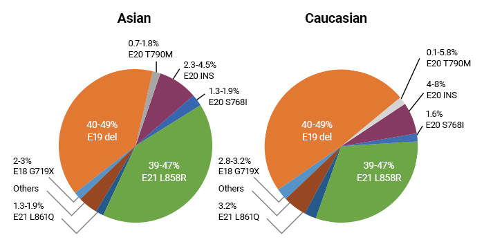 Mutation frequency and distribution in Asian and Caucasian populations