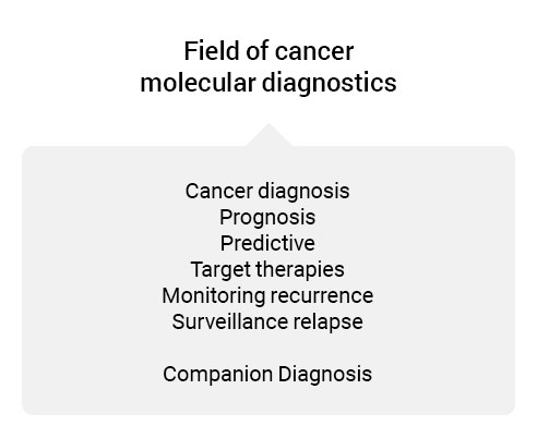 Field of cancer molecular diagnostics